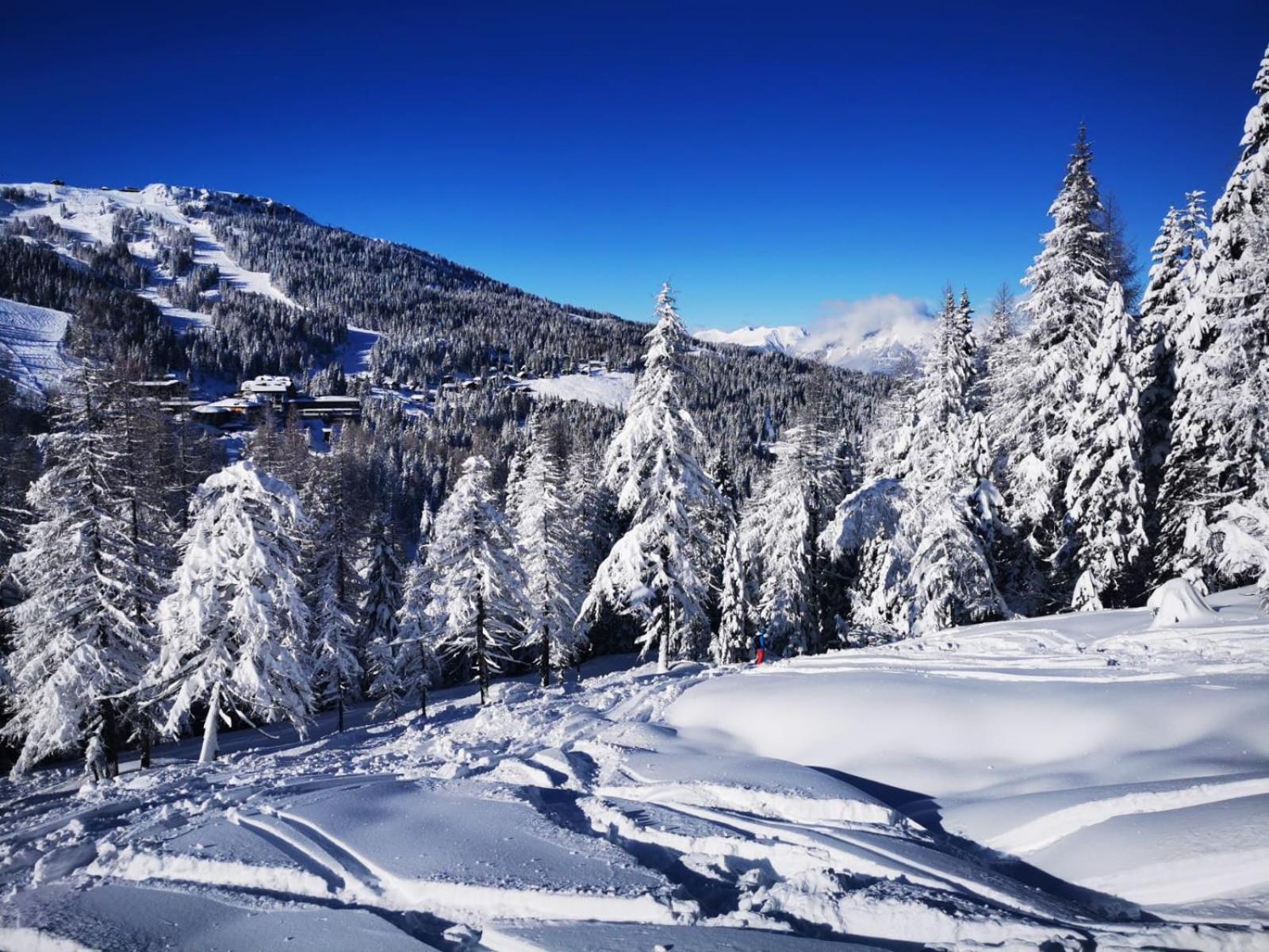 Naturgut Gailtal Sankt Stefan an der Gail Zewnętrze zdjęcie