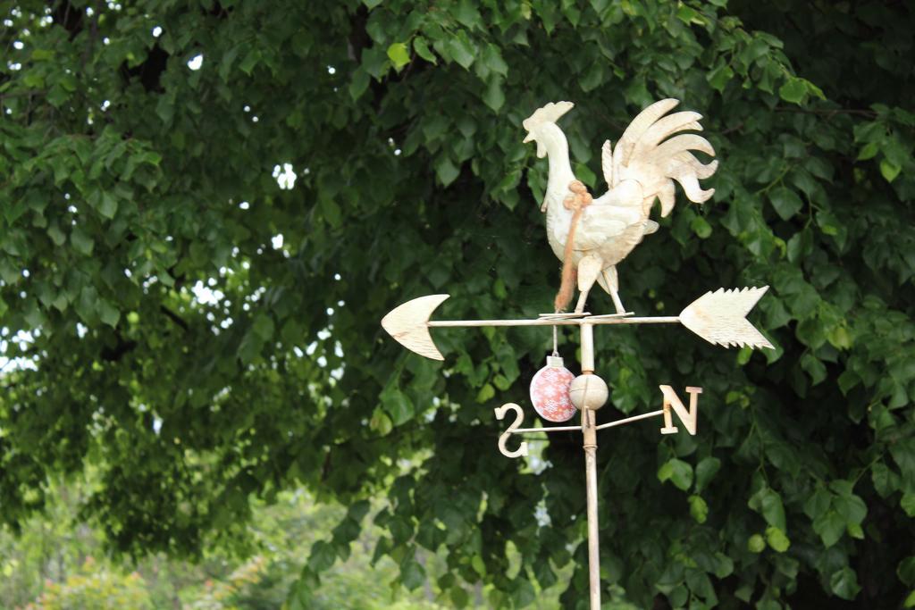 Naturgut Gailtal Sankt Stefan an der Gail Zewnętrze zdjęcie
